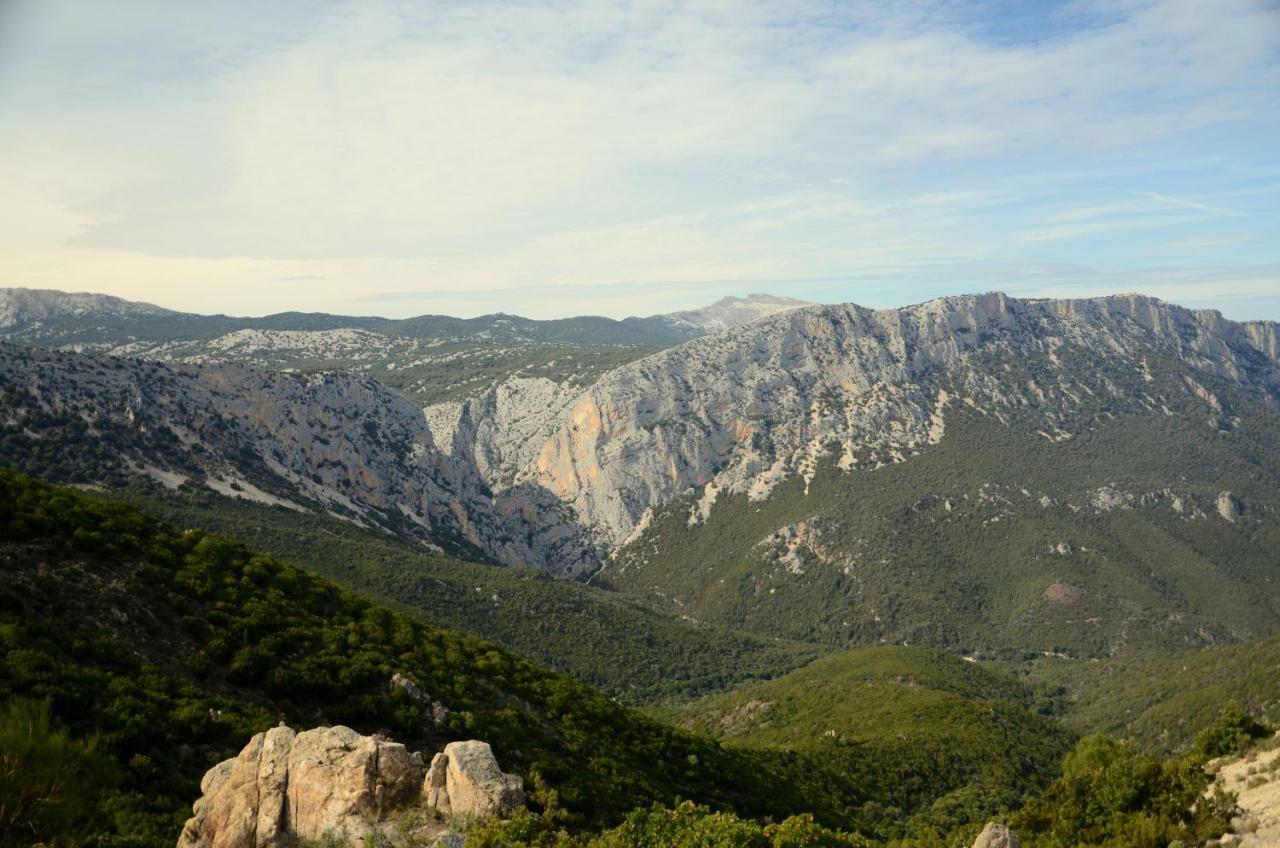Casa Pilighitta Daire Dorgali Dış mekan fotoğraf